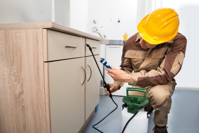 Pest Control Company in Jupiter, FL
