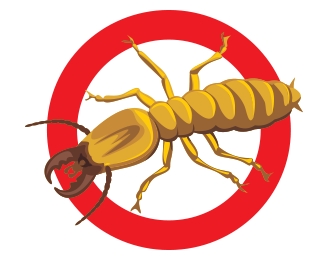 Termite control