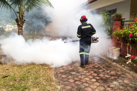 What Is Pest Control? Thumbnail