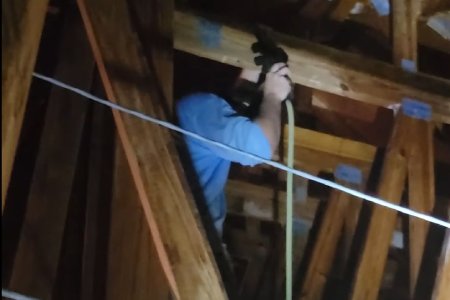 No Tent Termite Treatment In Jupiter, FL Thumbnail