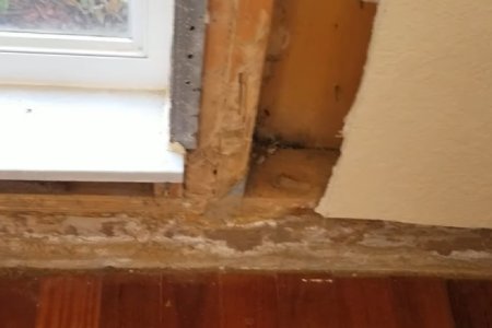 Termite Damage In Jupiter Farms, FL Thumbnail