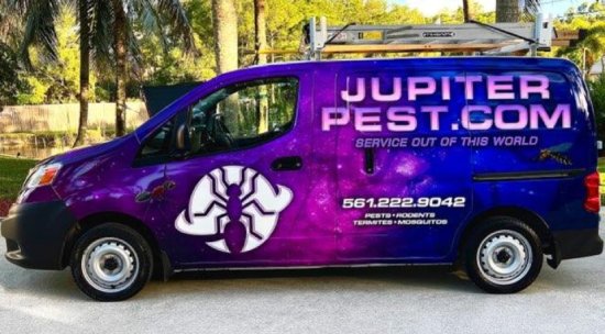 Pro pest control